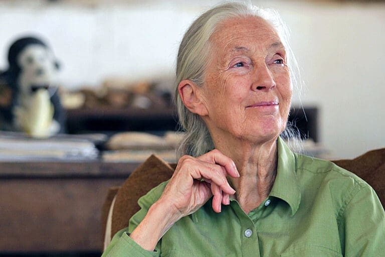 Brilliant Earth and Dr. Jane Goodall unite to promote sustainability in the jewelry industry. Photo by Simon Fraser University, WikiMedia.