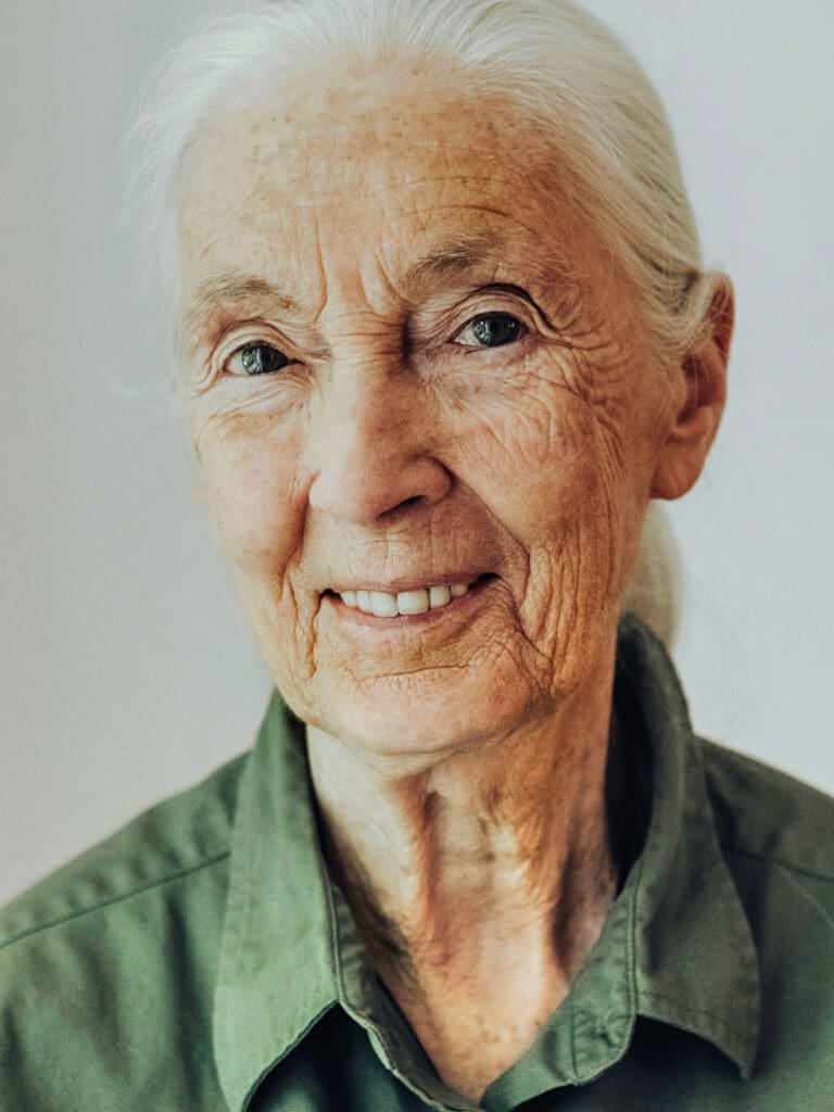 Brilliant Earth’s new partnership with Dr. Goodall supports ethical sourcing and environmental conservation. Photo by Jane Goodall, WikiMedia.